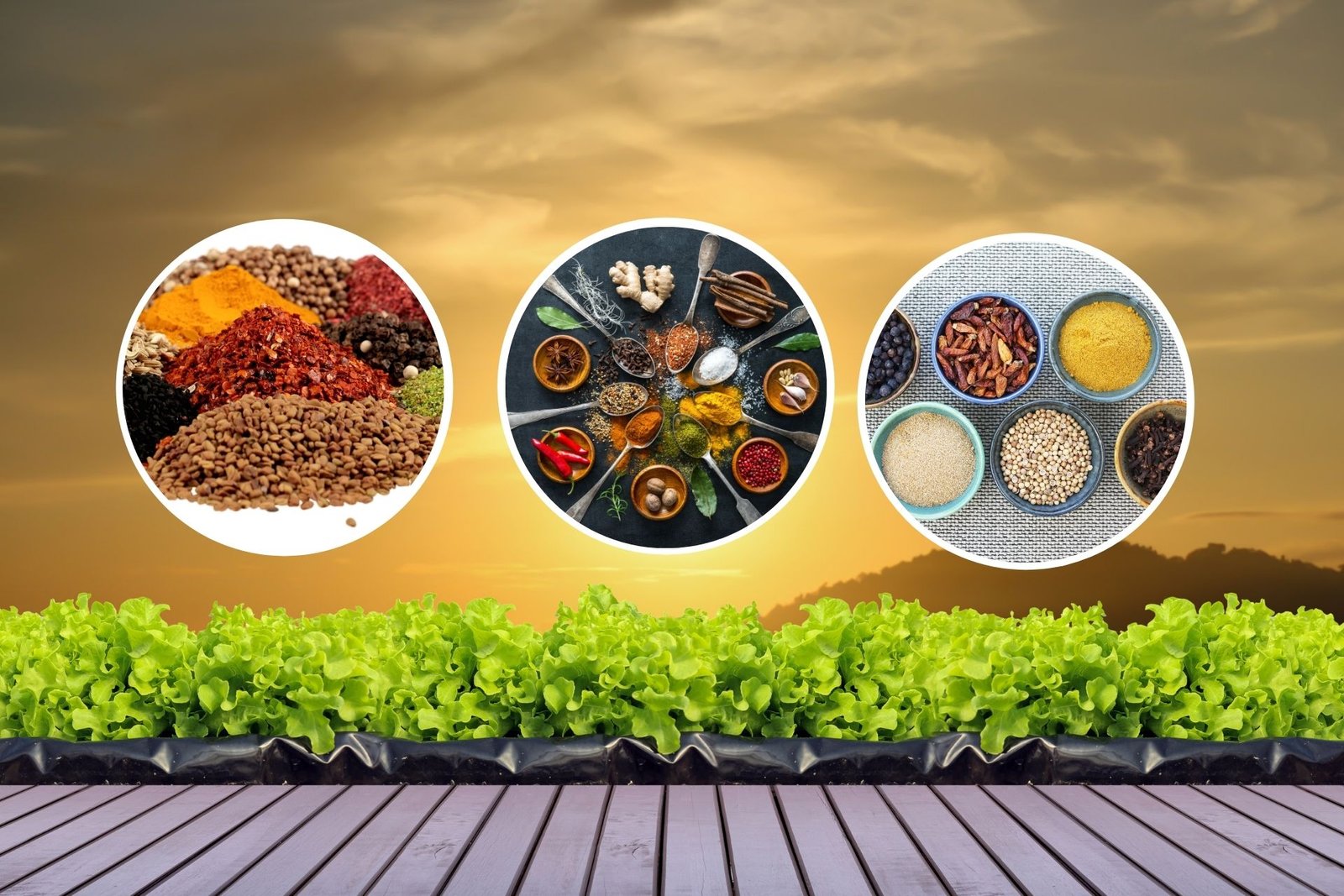 Welcome to Amulyam Group